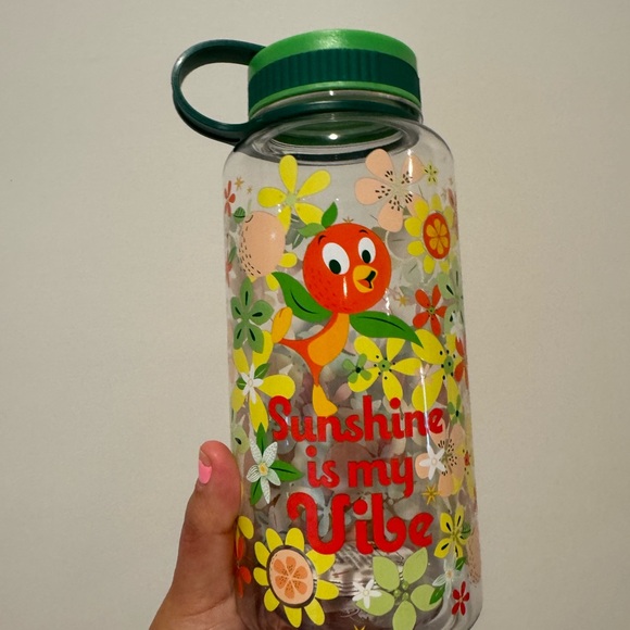 Disney Other - Disney parks orange bird Floral Water Bottle with Green Lid